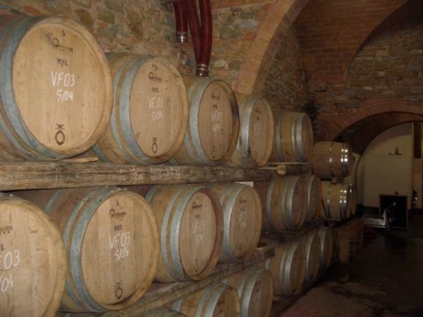 Investimenti nel settore vitivinicolo (campagna 2022/2023) 
